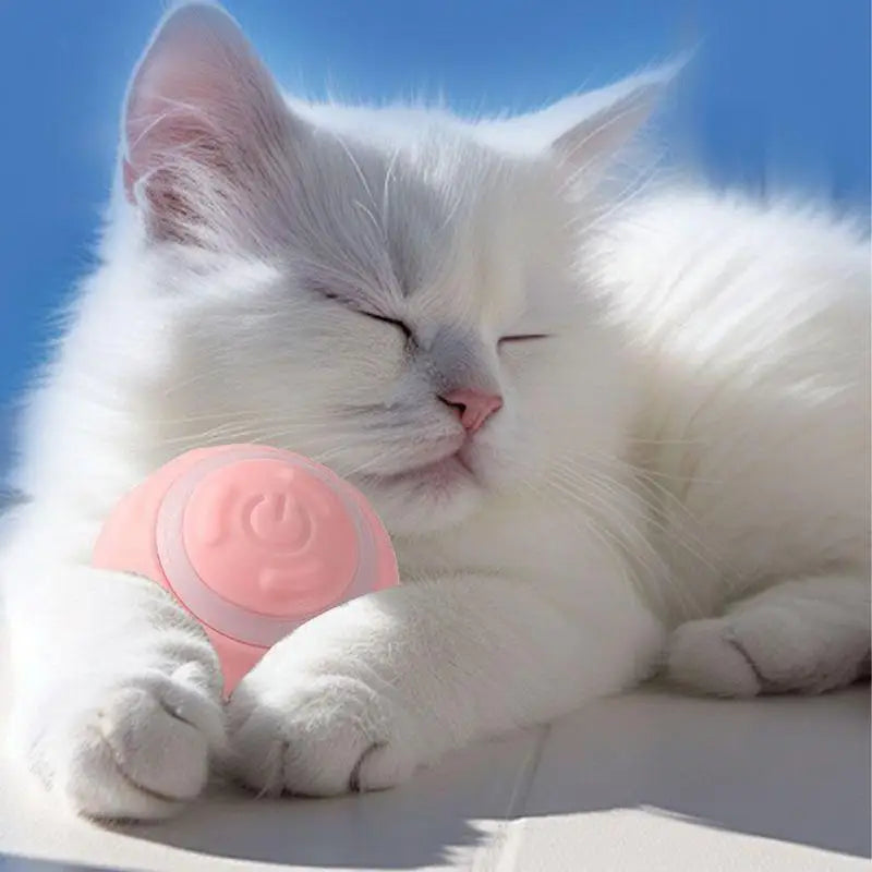 Interactive Fetch Dog Ball Smart Sensor Technology 360 Degree Scrolling Dog Toy Ball Fetch Dog Ball For Pet Dog Puppy Cat