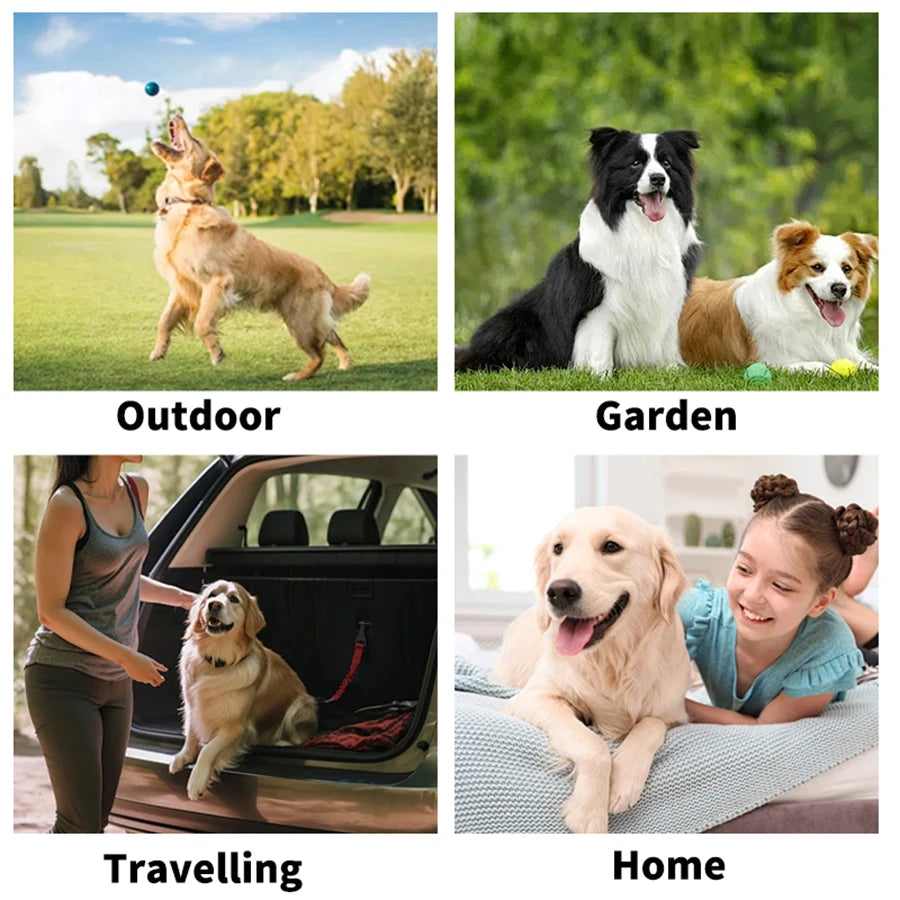 Cleaning Wipes Gloves for Dog and Cat,Pet Bathing Wipes Cleaning & Deodorizing,Dog Wipes for Body Paws Butt Daily Care,Cat Groom