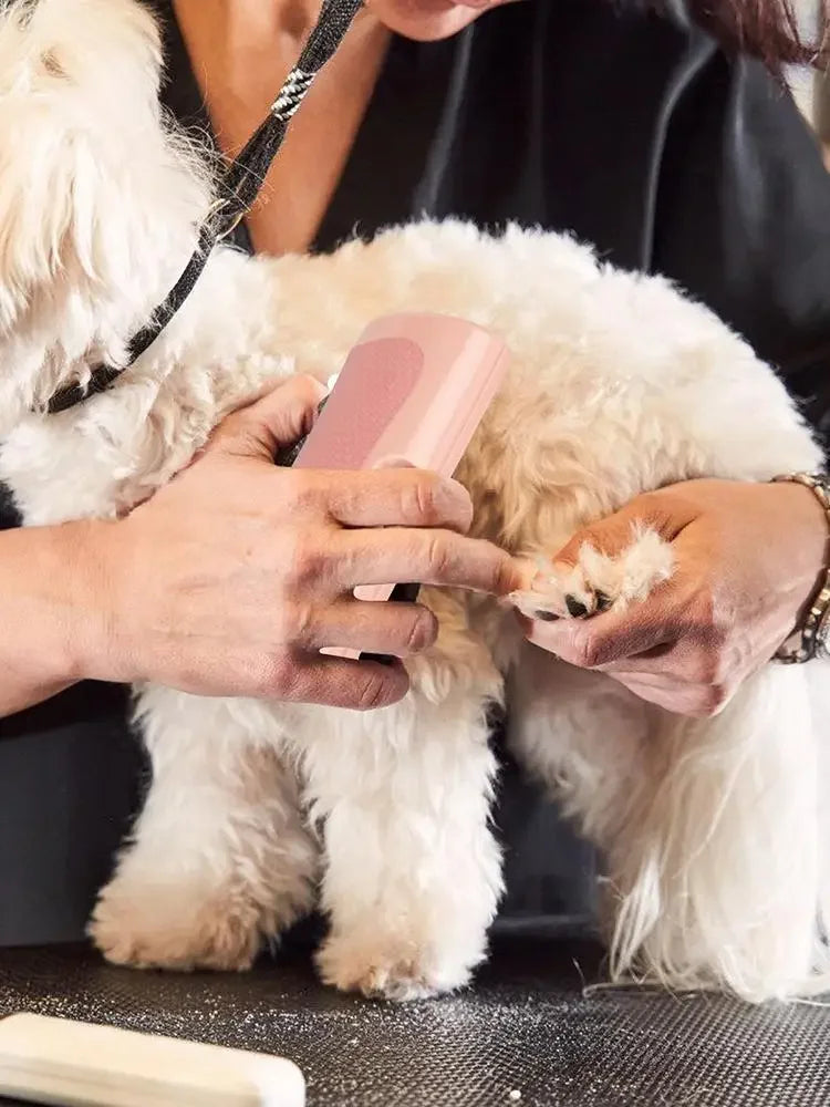 Professional Pet Deshedding Brush Multifunctional Pet Groom Brush Ergonomic Pet Groom Brush Dog Hair Remover Deshedding Tool