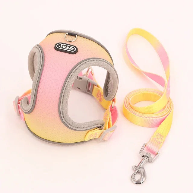 1pc Dog Harness  Small, Medium, Pet Dog Ombre Harness and Leash Set. Airtag cat collar Dogs stuff Leash Flea   tick control Pets