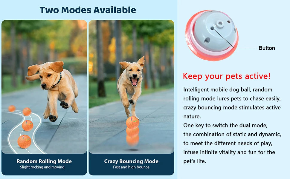 Smart Interactive Dog & Cat Toy Ball