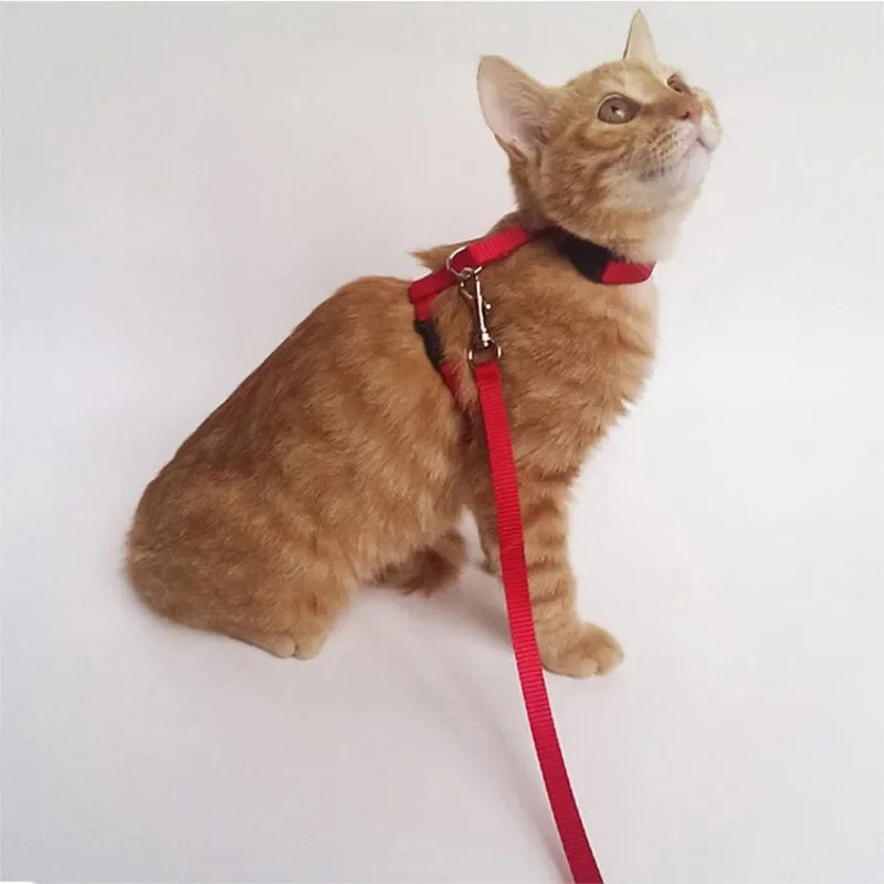 Adjustable Nylon Cat Harness with Leash Set Comfort Fit Vest Escape-Proof Cat Harness And Leash for Safe Walking and Training