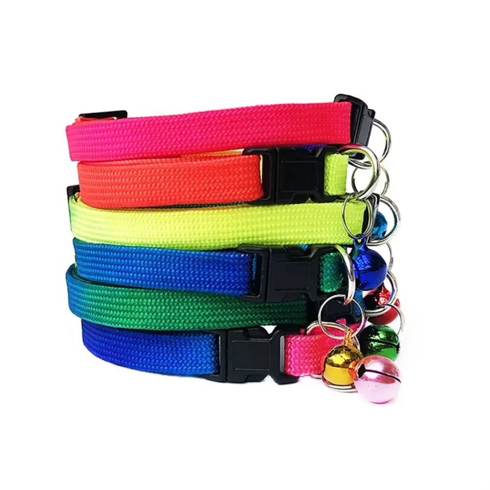 All-in-One Pet Gear Set – Collar, Clothes, Harness, Muzzle & Tag