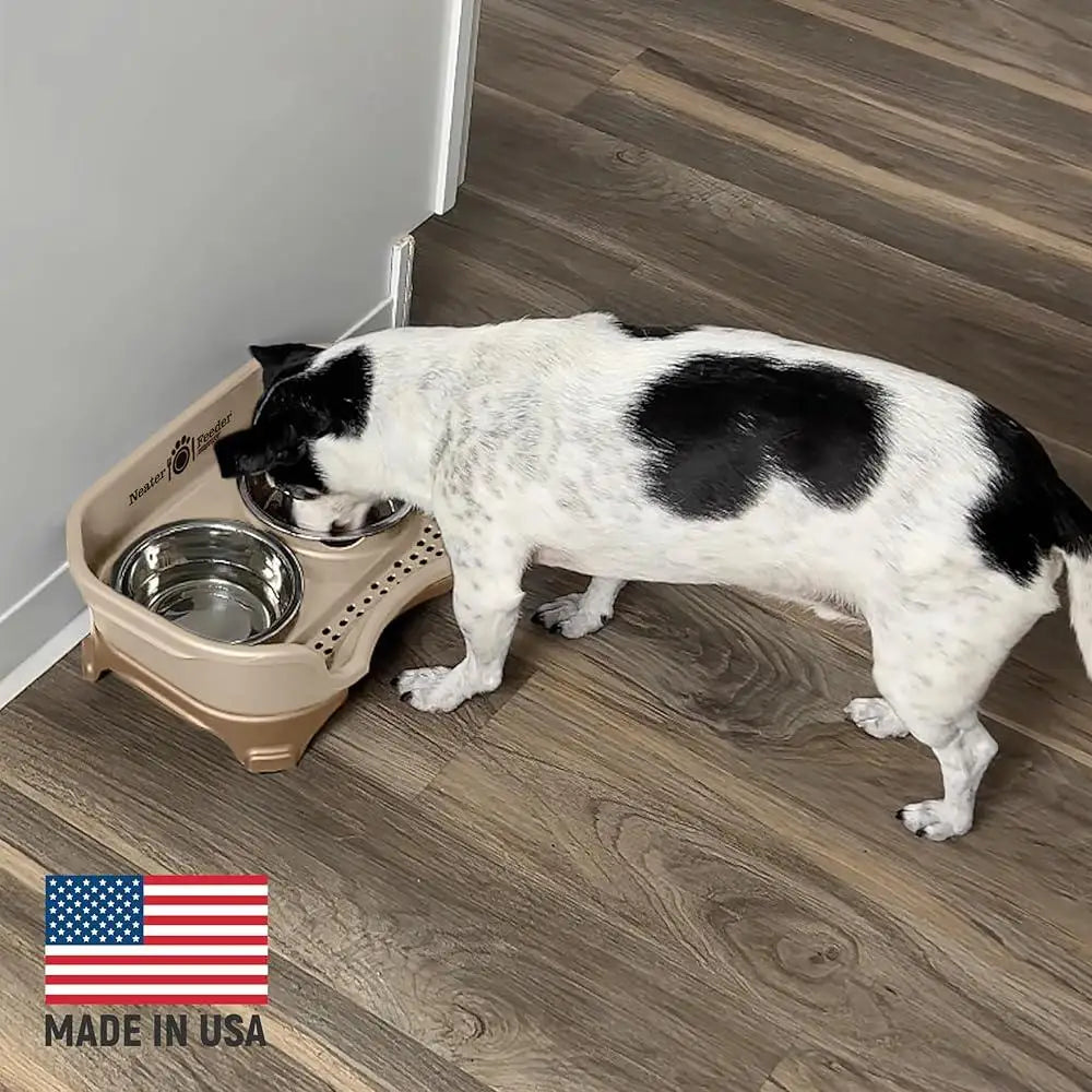 Mess Proof Elevated Dog Bowls Non Spill Non Tip Stainless Steel Catch Basin Small Dog Feeder Dishwasher Safe Rubber Feet