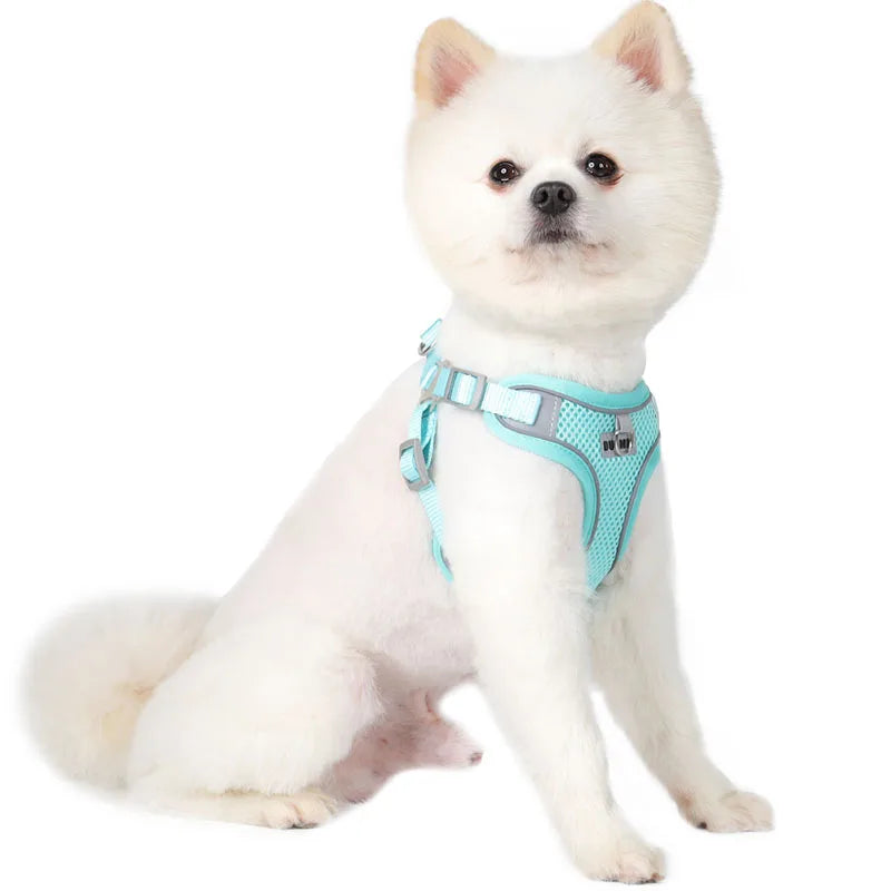 Dog Harness Leash Set for Small Medium Dog Cat Chest Strap Reflective Dog Clothes Vest Set Chihuahua Outdoor Walking Pet Supplie