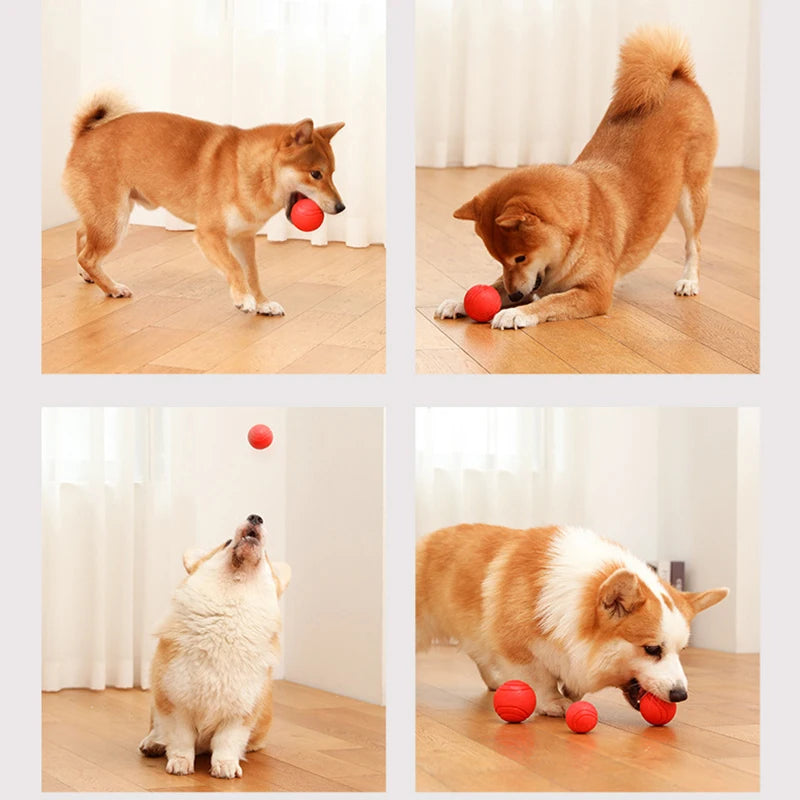 Indestructible Chew Proof Rubber Ball S to L Size Durable Bouncy Dog Toy for Pets Training Interactive Chew Resistant Molar Ball