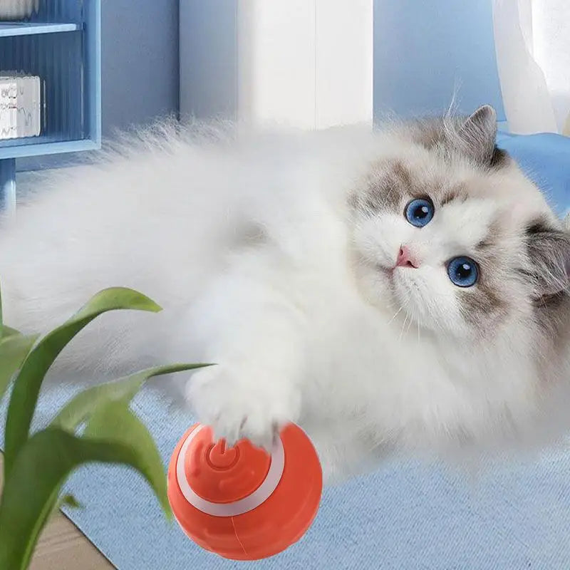 Interactive Fetch Dog Ball Smart Sensor Technology 360 Degree Scrolling Dog Toy Ball Fetch Dog Ball For Pet Dog Puppy Cat
