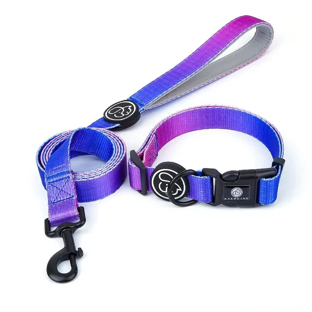 Gradient color Dog Collar and Leash Set dog luxury desgin harness for small medium and large dog harness and leash personalized