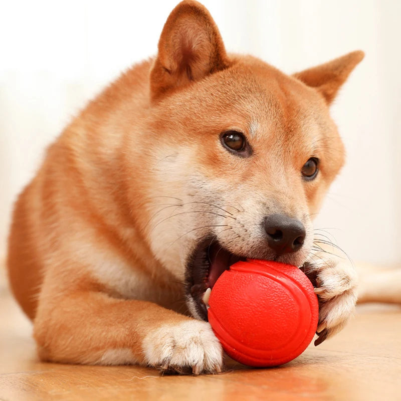 Indestructible Chew Proof Rubber Ball S to L Size Durable Bouncy Dog Toy for Pets Training Interactive Chew Resistant Molar Ball