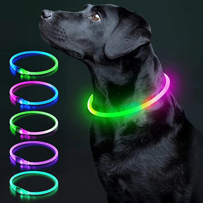 USB Rechargeable LED Pet Collar – Adjustable Glowing Safety Light