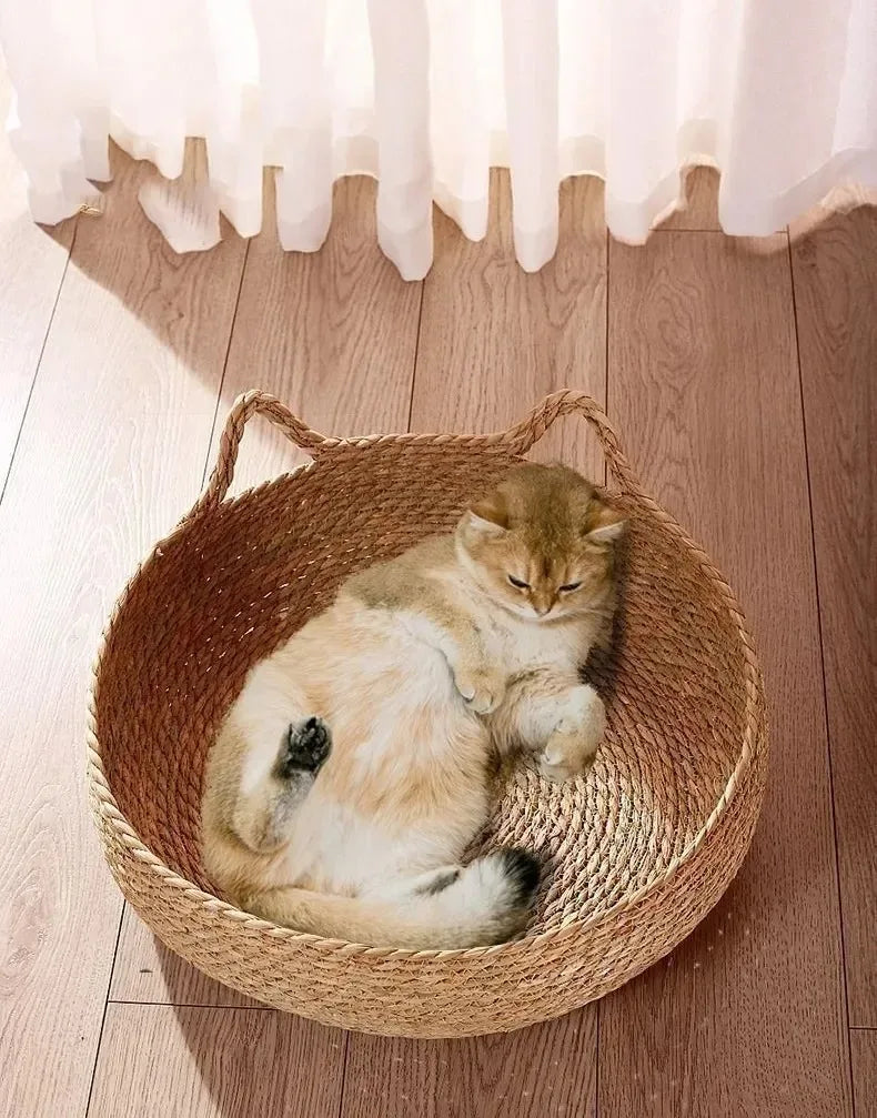 Natural Woven Cat Bed with Washable Pad