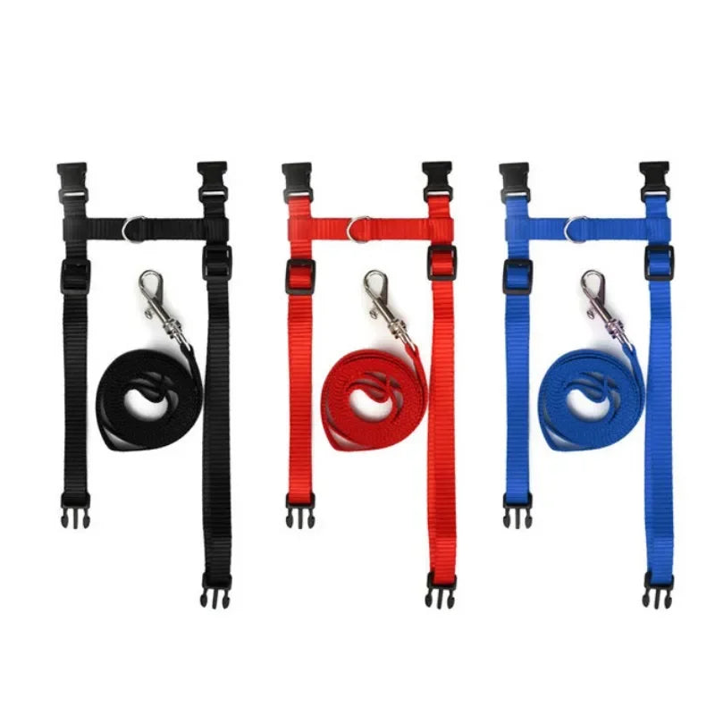 Adjustable Nylon Cat Harness with Leash Set Comfort Fit Vest Escape-Proof Cat Harness And Leash for Safe Walking and Training