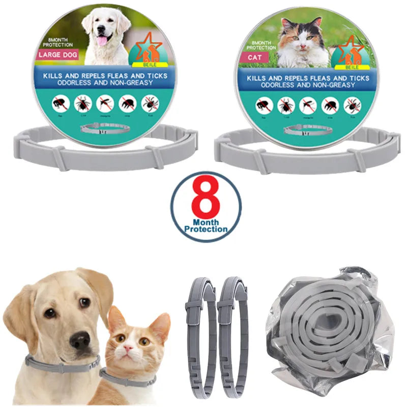 USB Rechargeable LED Pet Collar – Adjustable Glowing Safety Light
