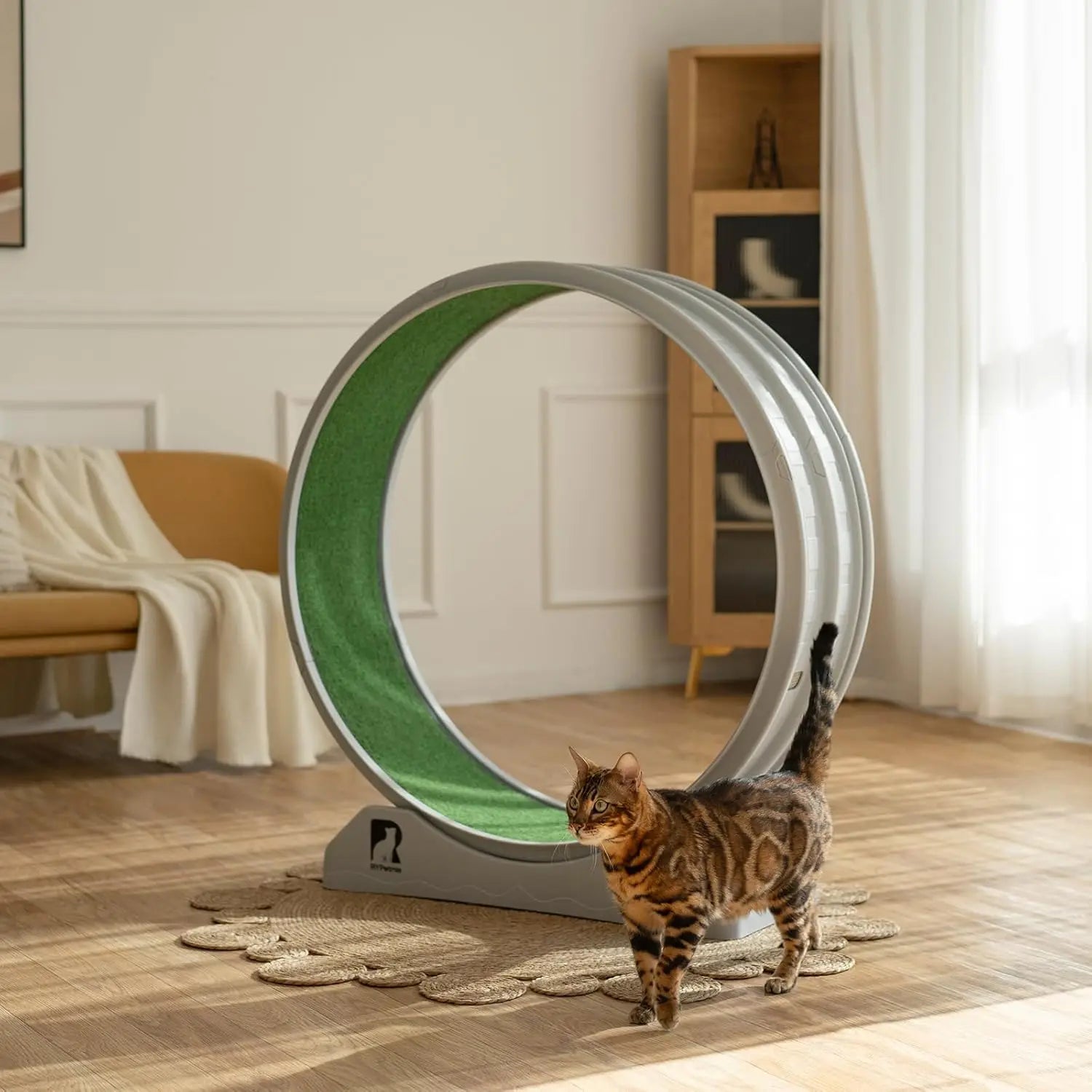 Cat Exercise Wheel, Cat Treadmill for Indoor Cats, Cat Running Wheel with Carpeted Runway, Easy to Install & Fitness & Health,