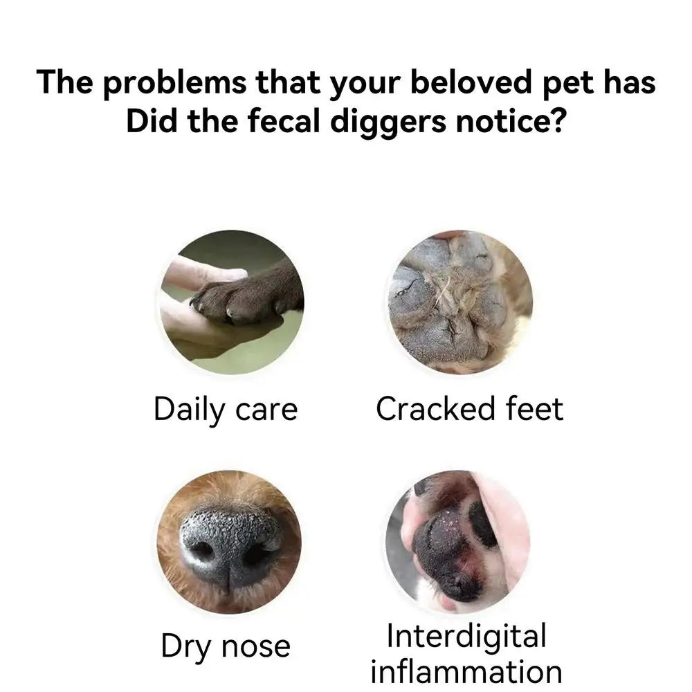 6g Dog Nose And Paw Balm Dog Paw Cream Cats Dogs Paw Protector Cream Pet Feet Moisturizer Pet Crack Feet Repair Pet Accessories