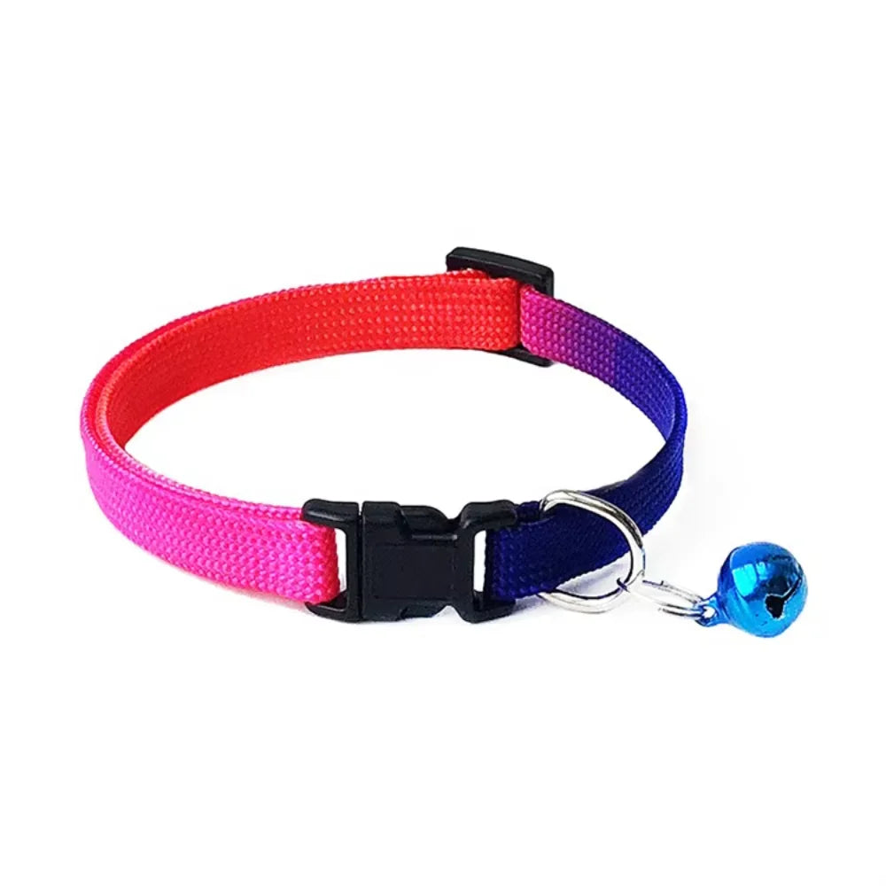 All-in-One Pet Gear Set – Collar, Clothes, Harness, Muzzle & Tag