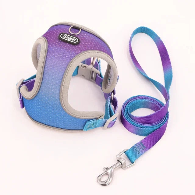 1pc Dog Harness  Small, Medium, Pet Dog Ombre Harness and Leash Set. Airtag cat collar Dogs stuff Leash Flea   tick control Pets