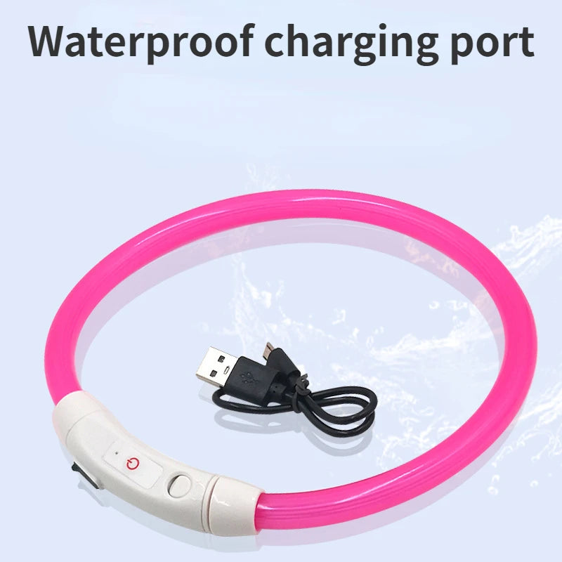 LED Luminous Pet Collar – USB Rechargeable
