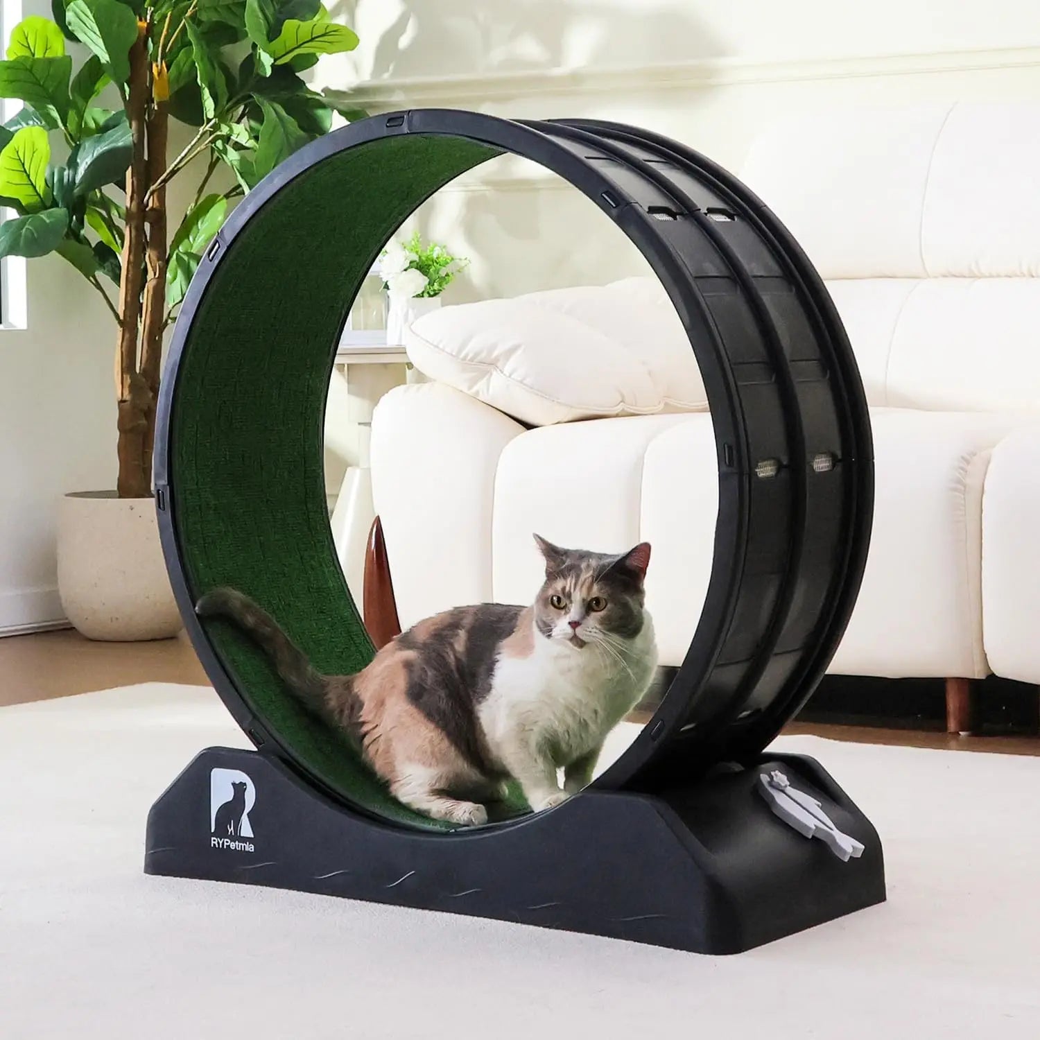Cat Exercise Wheel, Cat Treadmill for Indoor Cats, Cat Running Wheel with Carpeted Runway, Easy to Install & Fitness & Health,