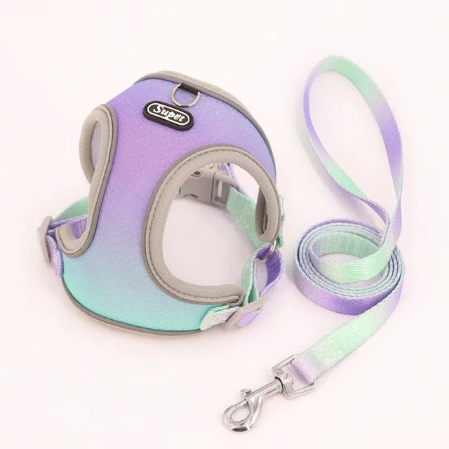 1pc Dog Harness  Small, Medium, Pet Dog Ombre Harness and Leash Set. Airtag cat collar Dogs stuff Leash Flea   tick control Pets