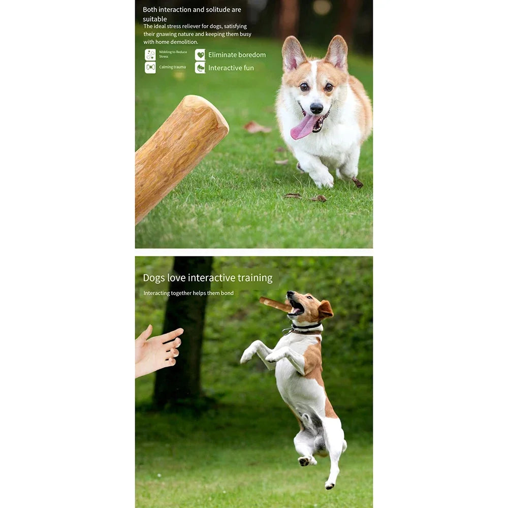 FZCSPEED Coffee Wooden Dog Chew Toy, Dog Wooden Chew Stick, for Tooth Pressure Relief, Pet Toys