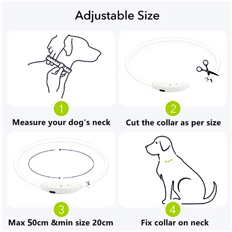 USB Rechargeable LED Pet Collar – Adjustable Glowing Safety Light