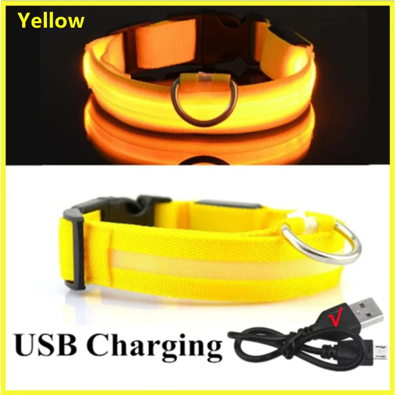 USB Rechargeable LED Pet Collar – Adjustable Glowing Safety Light