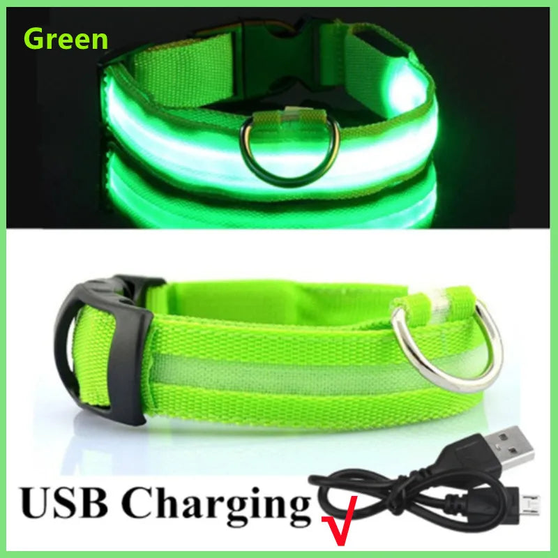 USB Rechargeable LED Pet Collar – Adjustable Glowing Safety Light