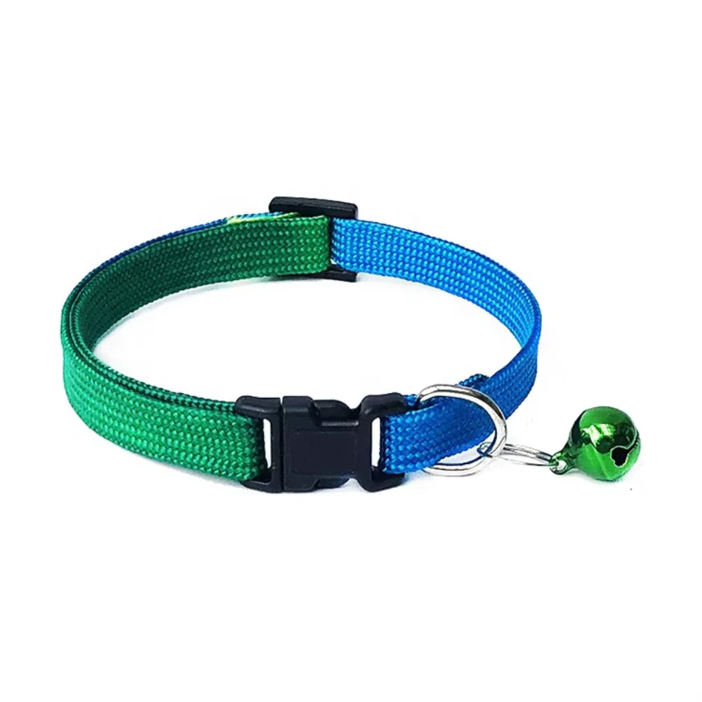 All-in-One Pet Gear Set – Collar, Clothes, Harness, Muzzle & Tag