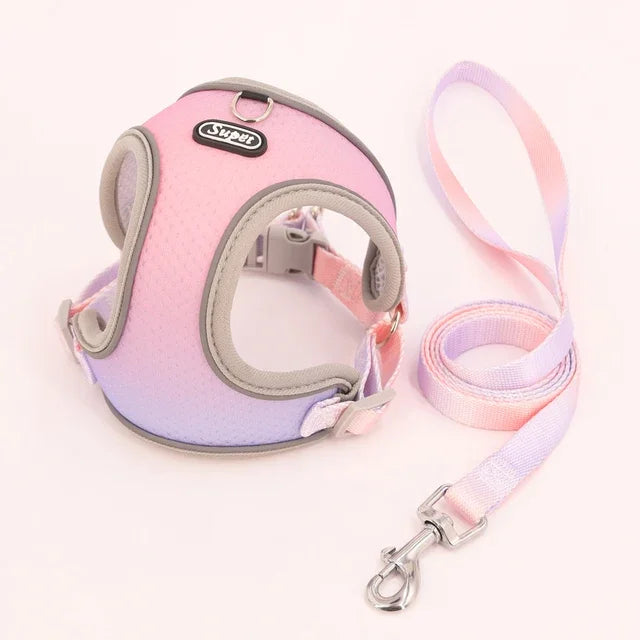 1pc Dog Harness  Small, Medium, Pet Dog Ombre Harness and Leash Set. Airtag cat collar Dogs stuff Leash Flea   tick control Pets