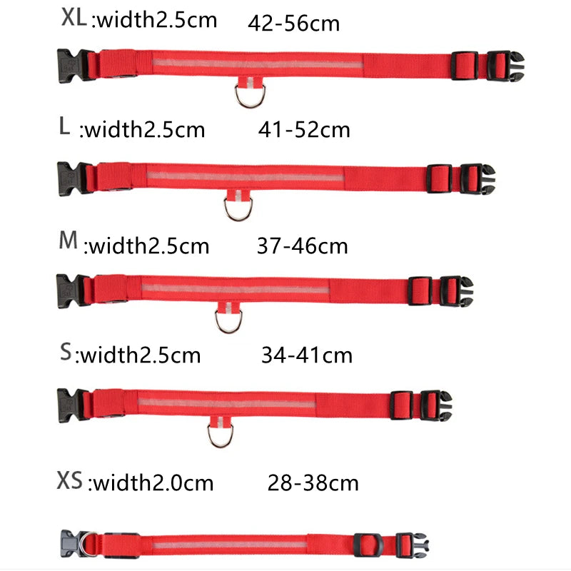 USB Rechargeable LED Pet Collar – Adjustable Glowing Safety Light