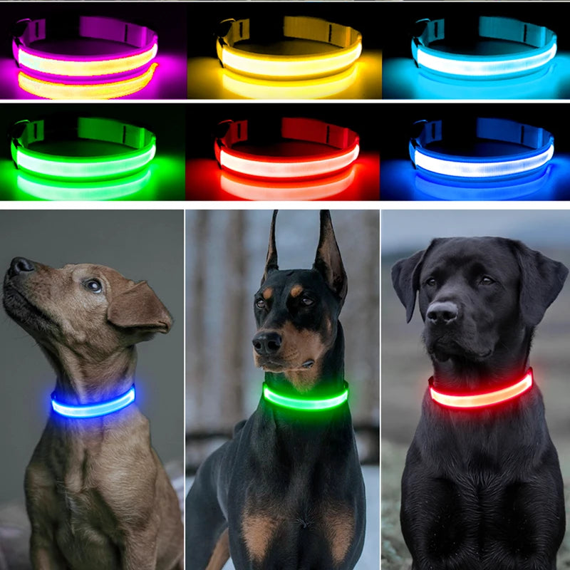 USB Rechargeable LED Pet Collar – Adjustable Glowing Safety Light