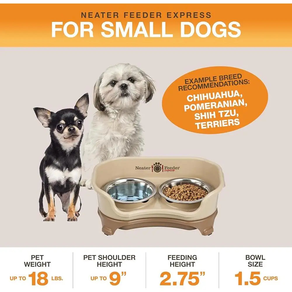 Mess Proof Elevated Dog Bowls Non Spill Non Tip Stainless Steel Catch Basin Small Dog Feeder Dishwasher Safe Rubber Feet