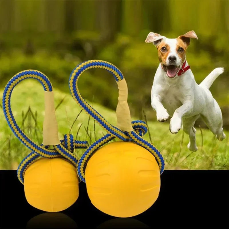 Indestructible Chew-Resistant Dog Ball Toy
