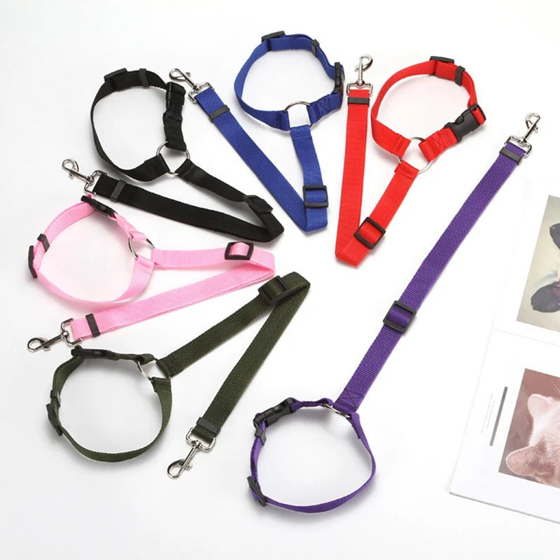 2-in-1 Pet Car Seat Belt & Leash – Adjustable Safety Harness