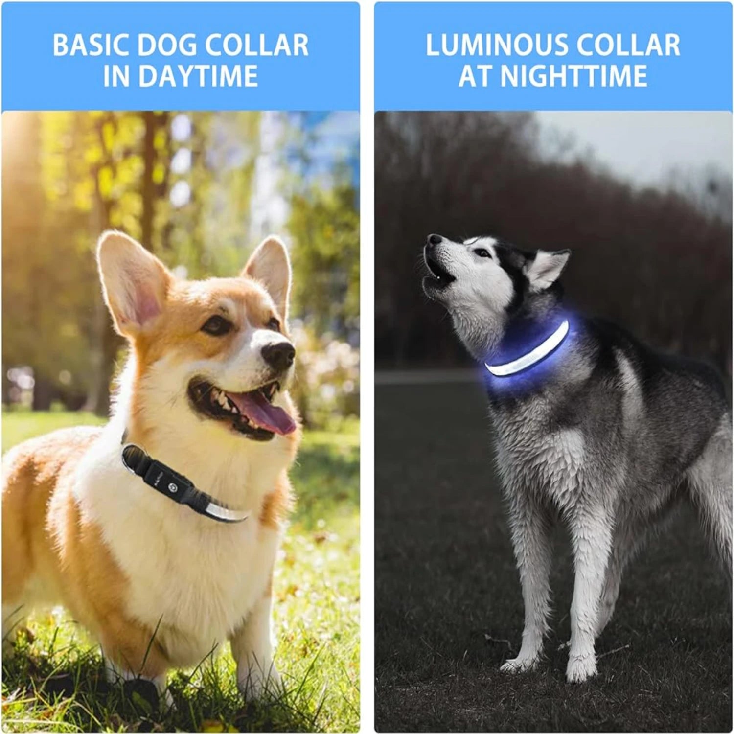 ibility and Safety - Long-lasting and Waterproof LED Light-up Collar for Dogs of all Sizes - Stay Safe and Stylish during Night