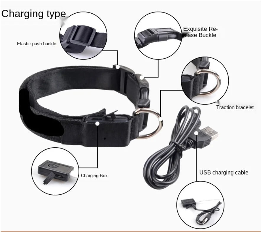 USB Rechargeable LED Pet Collar – Adjustable Glowing Safety Light