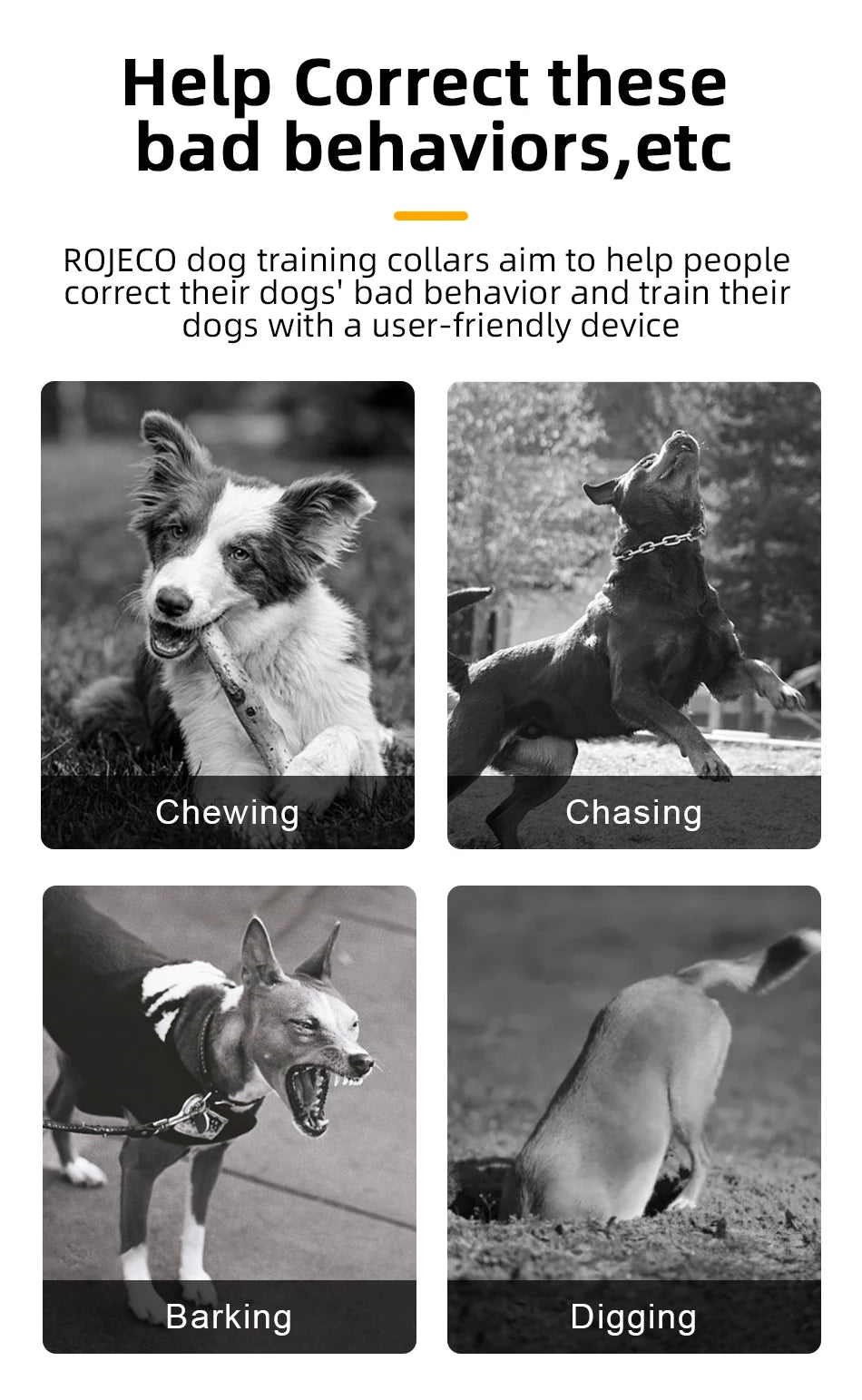 ROJECO Electric Dog Training Collar with Remote & Waterproof Design