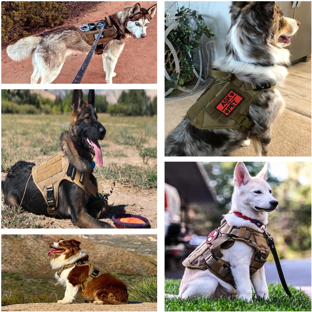 Large Dog Harness Vest with Leash & Molle Pouches