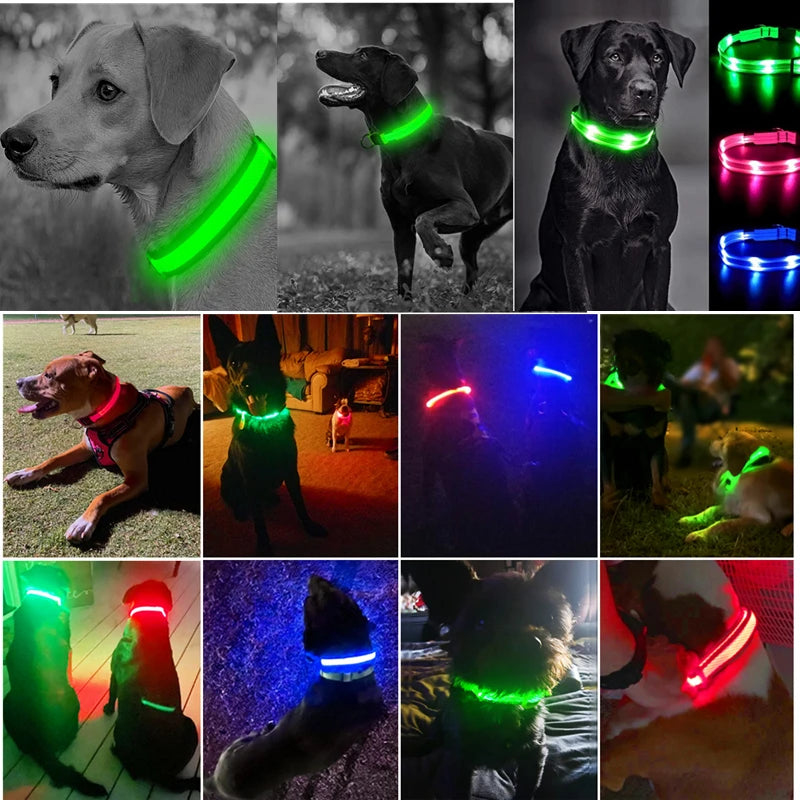 USB Rechargeable LED Pet Collar – Adjustable Glowing Safety Light