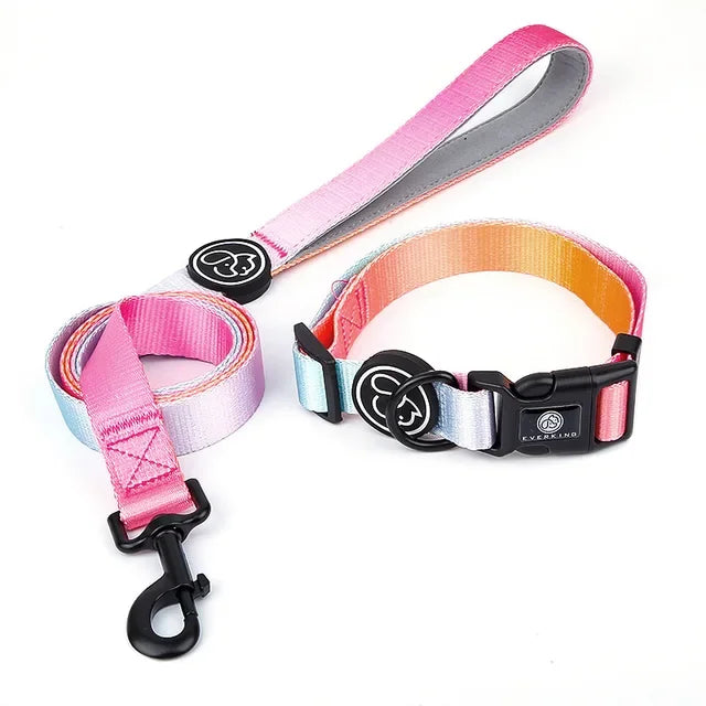 Gradient color Dog Collar and Leash Set dog luxury desgin harness for small medium and large dog harness and leash personalized