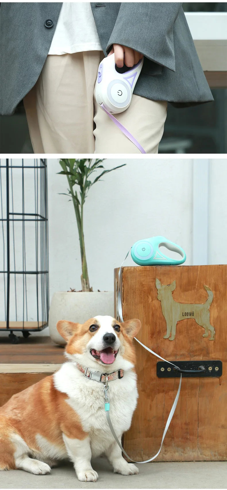 LED Luminous Dog Leash Automatic Retractable Leash for Medium Dogs Outdoor Small Pet Traction Rope Dog Accessories Pet Supplies