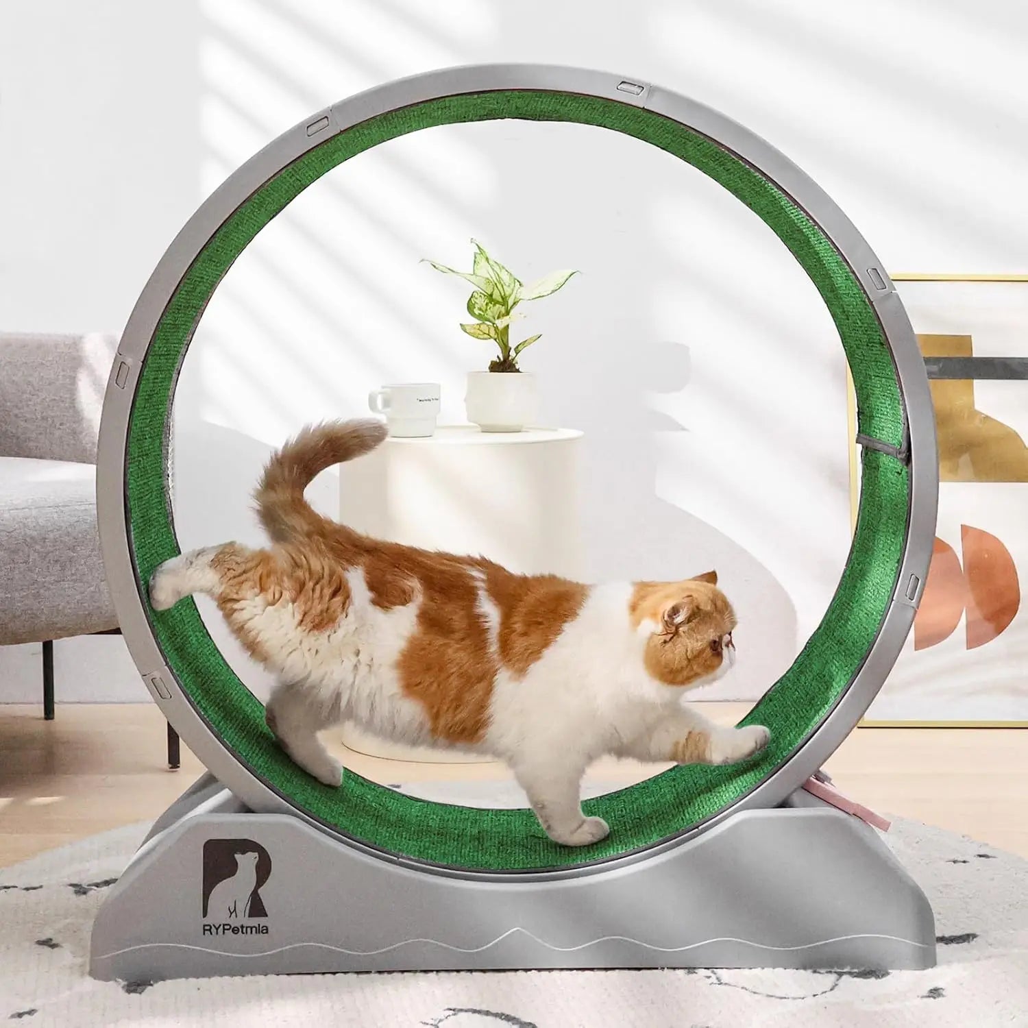 Cat Exercise Wheel, Cat Treadmill for Indoor Cats, Cat Running Wheel with Carpeted Runway, Easy to Install & Fitness & Health,