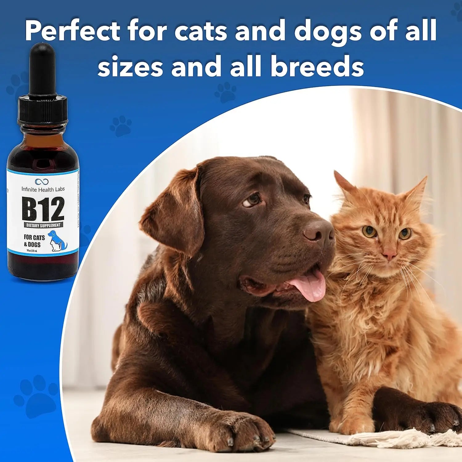 Liquid Vitamin B-12 for Dogs and Cats - Vet Formulated - Effective for All Animals Methylcobalamin (Methyl B12) - Energy, Appeti
