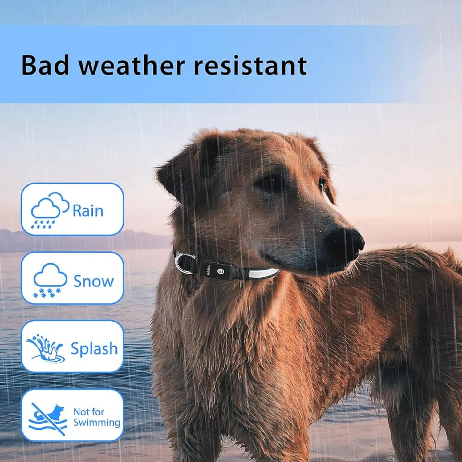ibility and Safety - Long-lasting and Waterproof LED Light-up Collar for Dogs of all Sizes - Stay Safe and Stylish during Night