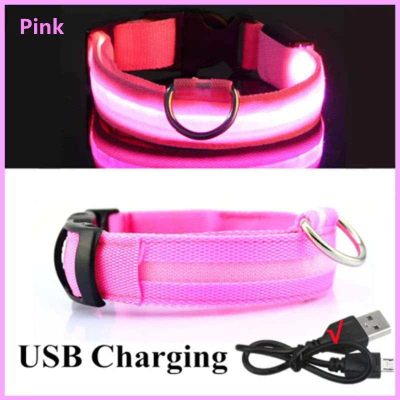 USB Rechargeable LED Pet Collar – Adjustable Glowing Safety Light