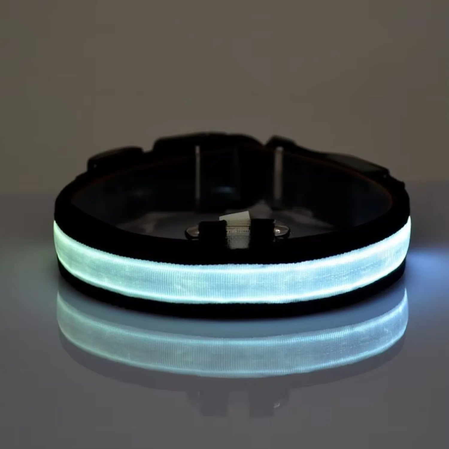 Waterproof  Light  Reflective Pet Adjustable Usb Type-C Recharge Luxury Led Luminous Collar For Dog