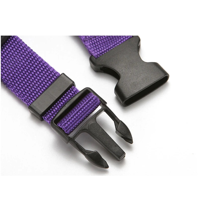 2-in-1 Pet Car Seat Belt & Leash – Adjustable Safety Harness