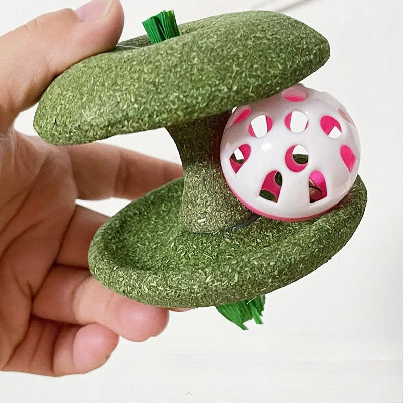 Cat Toys Natural Catnip Ball Cage Ball & Bell Ball for Indoor Cats, Kitten Cleaning Teeth Molar Matatabi Cat Chew Toy All Breeds