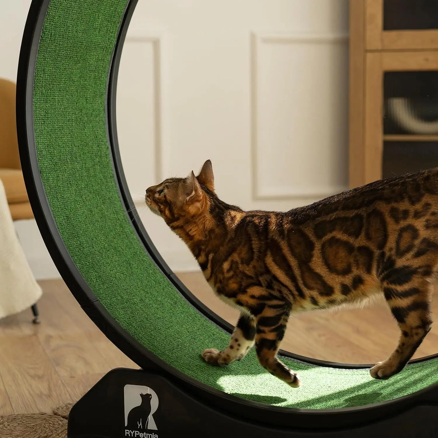 Cat Exercise Wheel, Cat Treadmill for Indoor Cats, Cat Running Wheel with Carpeted Runway, Easy to Install & Fitness & Health,
